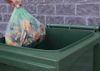 ontgrendelen Prestatie beschermen Composteerbare zakjes | IVAGO