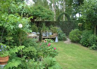tuin met een evenwichtige verdeling gazon en beplanting