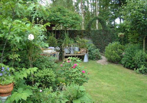 tuin met een evenwichtige verdeling gazon en beplanting