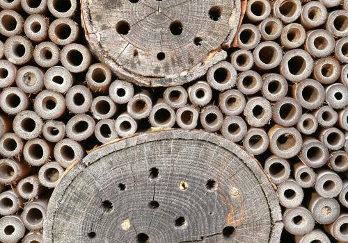 bee hotel